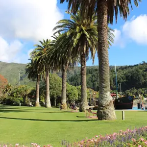 Picton Foreshore (5)