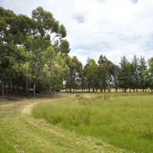RBP 450