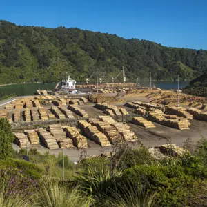 Picton Central RBPHOTO (3)