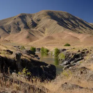 Molesworth.21