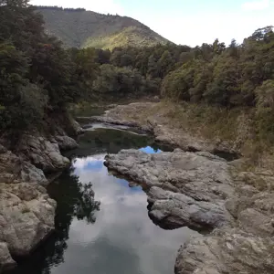 DM F S Pelorus River (5)