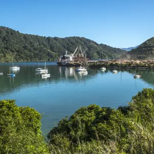Picton Central RBPHOTO (4)