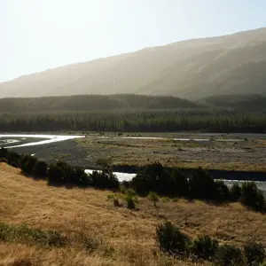 Wairau Valley.07 (1)