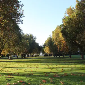 Pollard Park (2)