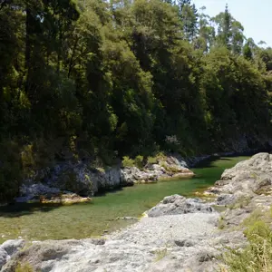 Pelorus River.06