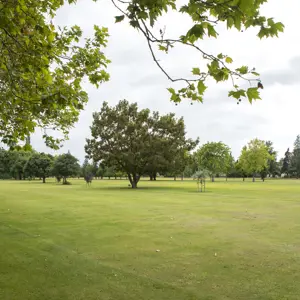 Pollard Park Blenheim RBPHOTO (4)