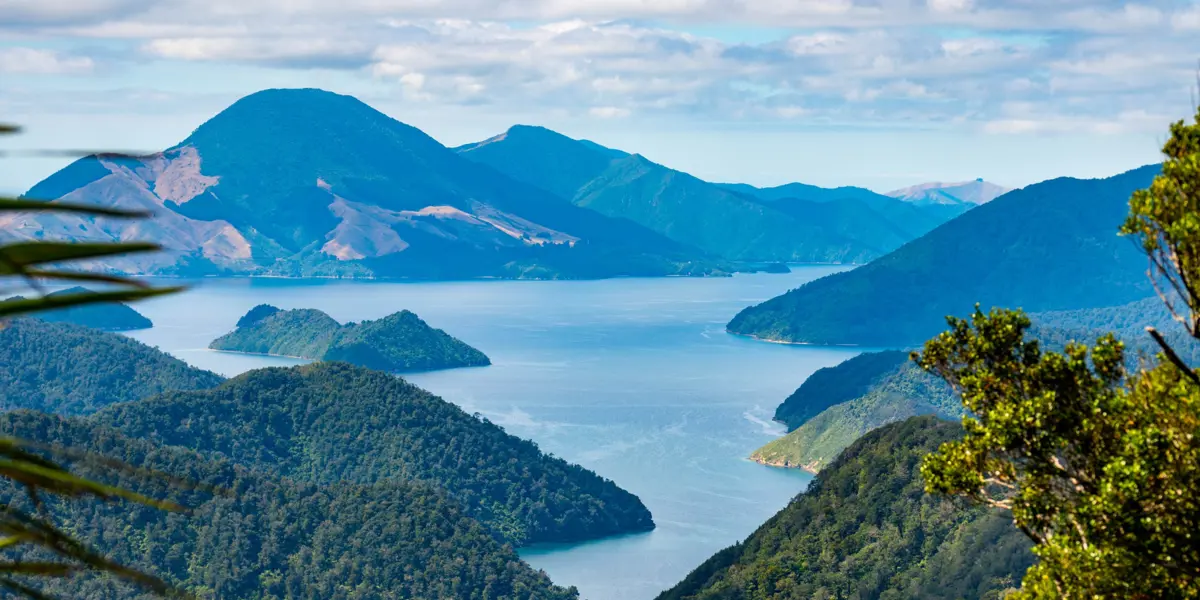 Walk Pelorus Nydia Track 67