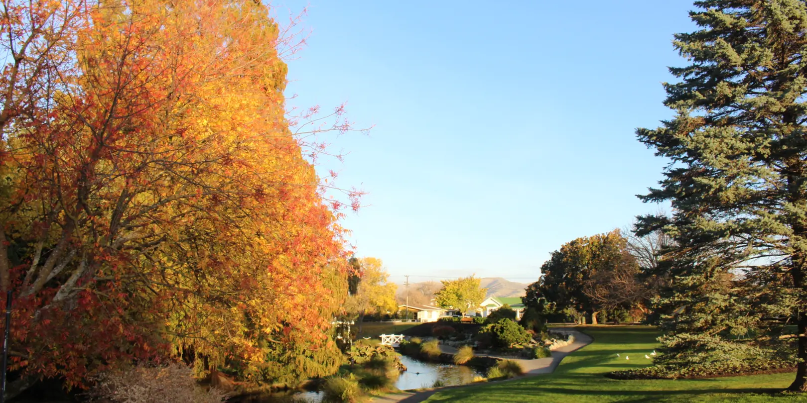 Pollard Park (30)