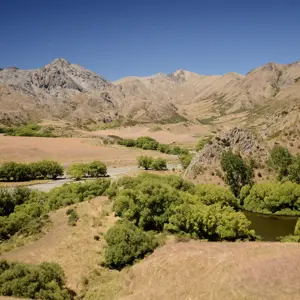 Molesworth.35