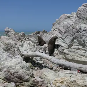 The Needles Trip Jan 2020 (36)