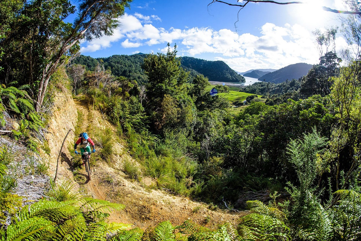 NZ Enduro Day Two Nydia Bay DS 9
