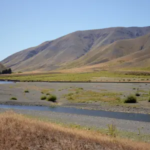 Molesworth.25