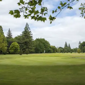 Pollard Park Blenheim RBPHOTO (12)