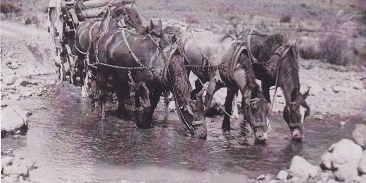 Farming Heritage