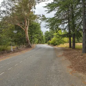 Wairau Hospital Land RBPHOTO (9)