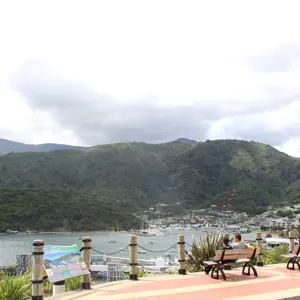Picton Harbour
