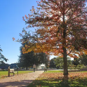 Seymour Square (5)