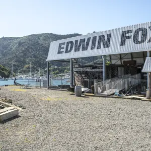 Edwin Fox Picton RBP 112 (1)