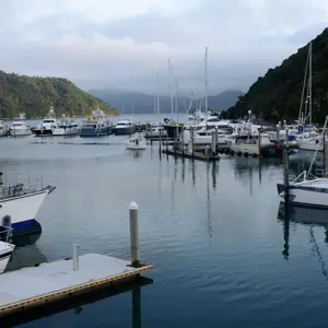 Picton.11