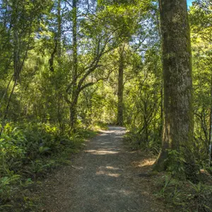 SM MDC 2 RBPHOTO (108)