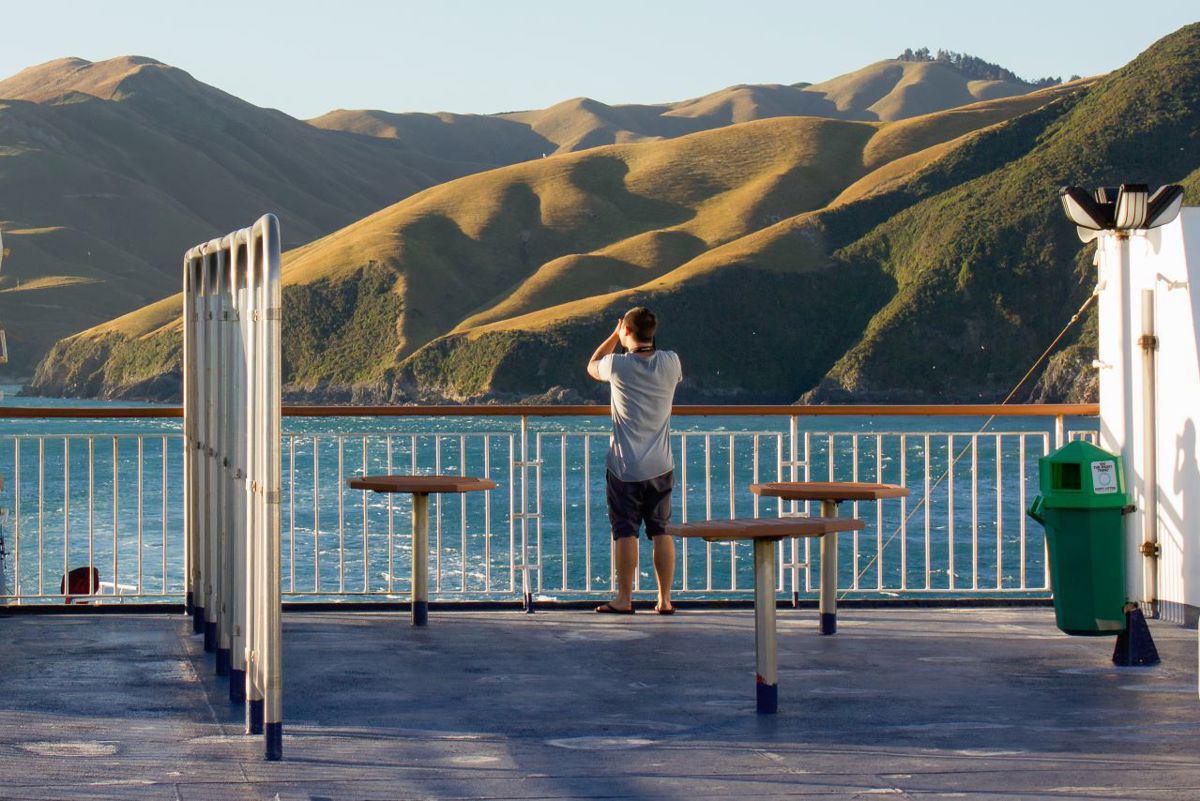 184020 Viewing Deck Scenery Hills Of Marlborough (1)