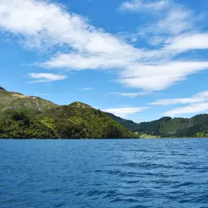 Pelorus Crailbay 29 Bright