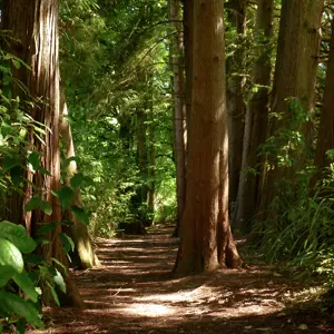 Onamalutu Reserve.08