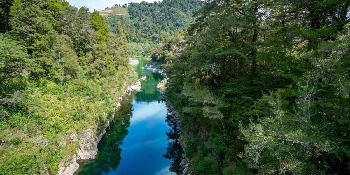 Walk Pelorus Nydia Track 77