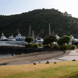 Picton.16