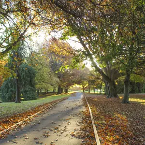 Pollard Park (16)