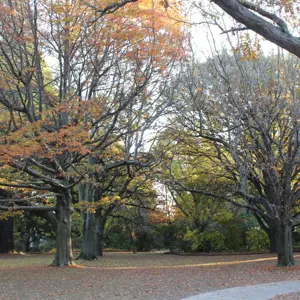 Pollard Park (24)