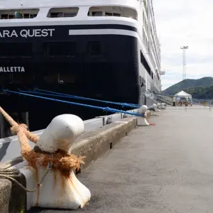 Picton Wharf.06
