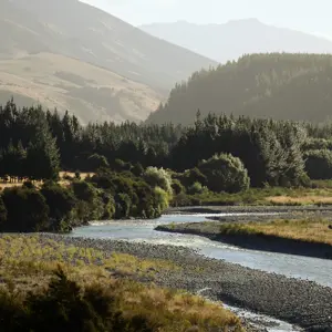 Wairau Valley.09