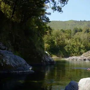 Pelorus River.05