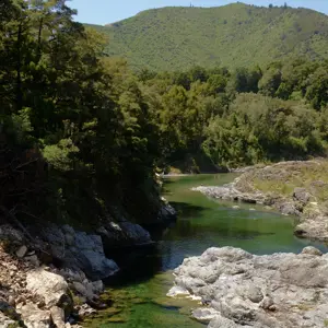 Pelorus River.01