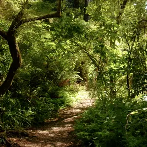 Onamalutu Reserve.07