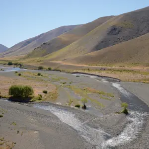 Molesworth.24
