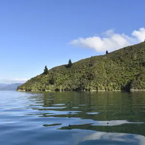 Pelorus Clara Island Bay 10