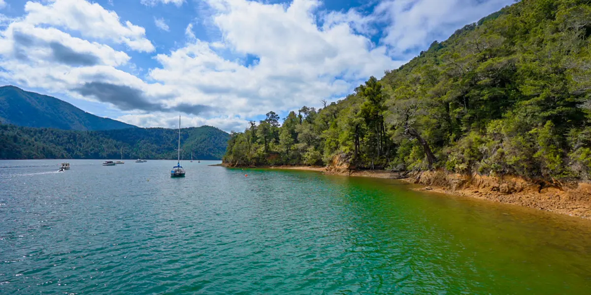 Walk Pelorus Nydia Track 64
