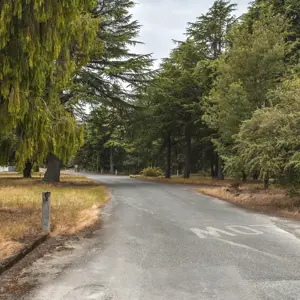 Wairau Hospital Land RBPHOTO (6)