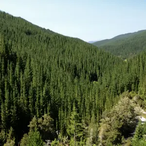 Top Valley.01