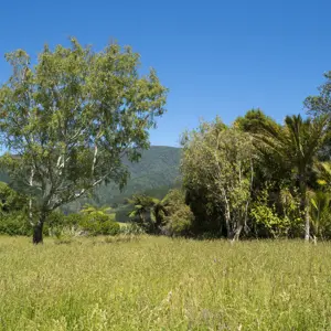 RBP 268