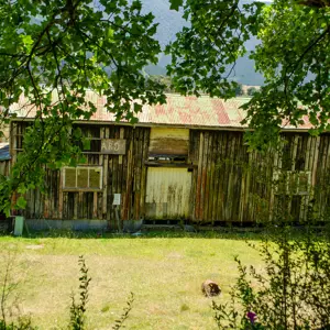 DSC 0556