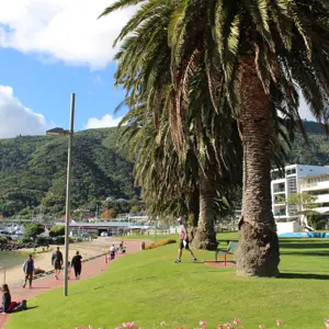Picton Foreshore (1)