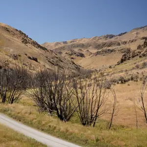 Molesworth.39