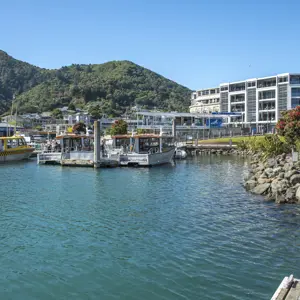 Picton Central RBPHOTO (31)