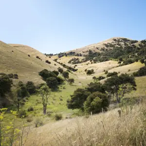 SM MDC 2 RBPHOTO (181)