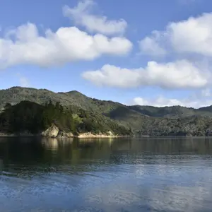 Pelorus Fitzroy Bay 01 Cropped