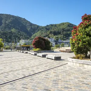 Picton Central RBPHOTO (9)