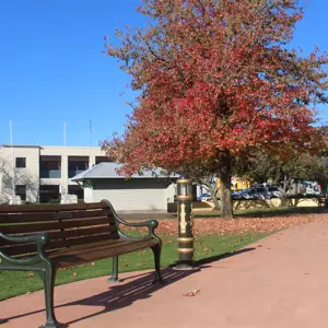Seymour Square (10)